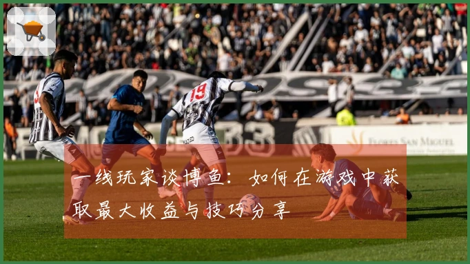 一线玩家谈博鱼：如何在游戏中获取最大收益与技巧分享