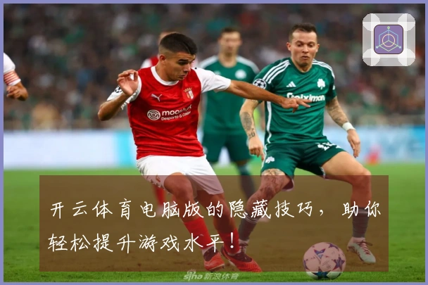 开云体育电脑版的隐藏技巧，助你轻松提升游戏水平！