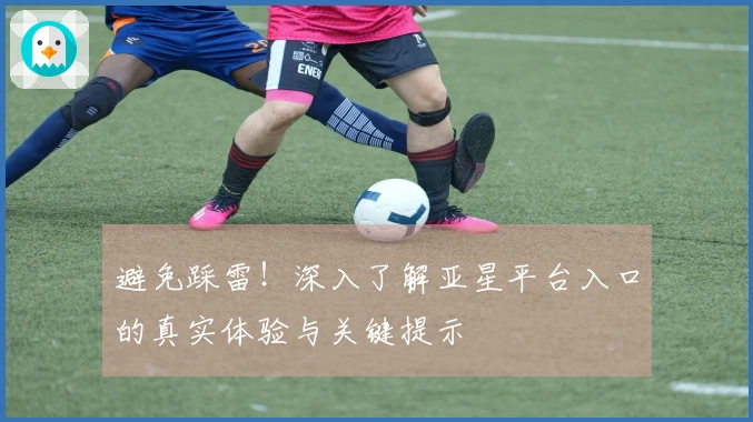 避免踩雷！深入了解亚星平台入口的真实体验与关键提示